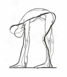 Stretching posturale Francoise Mezieres